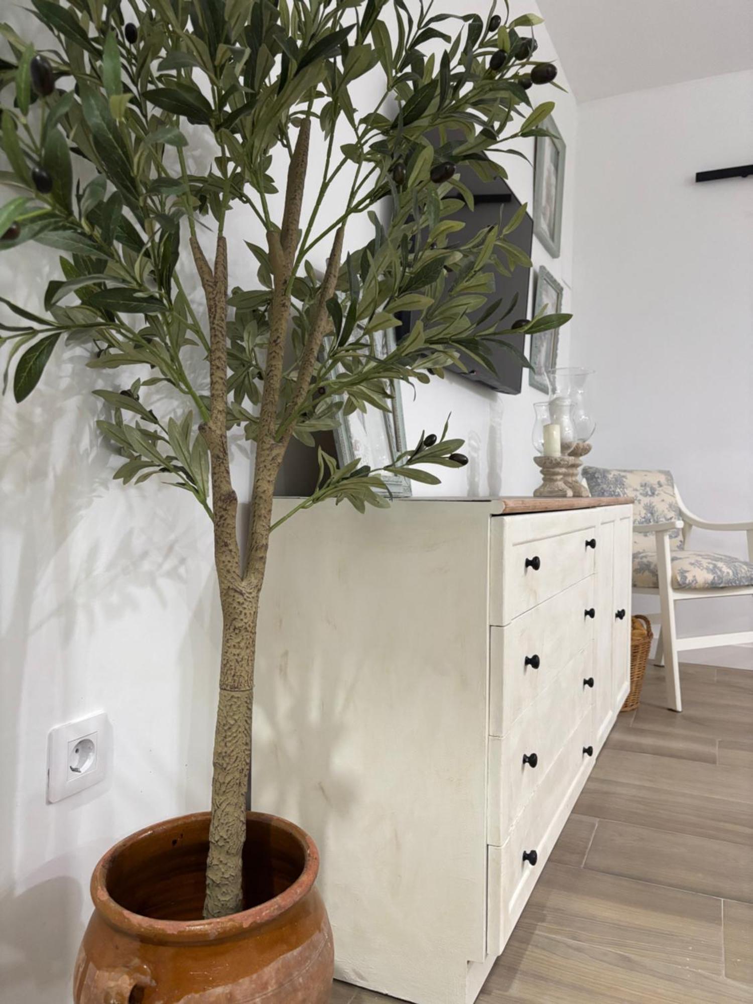 Jaén El Olivo Verde מראה חיצוני תמונה